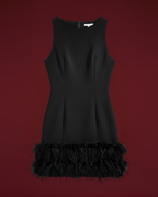 La petite robe noire Nerissa à bordure de plumes 